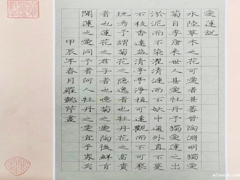 硬笔书法组 一等奖 罗懿芹.jpg